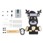 Whadda WSPXL101 Rudolph XL Kits bouwpakket