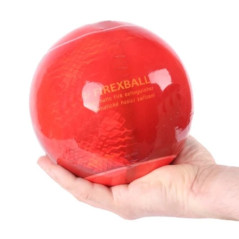FIREXBALL blusbal 1,3kg automatische brandblusser | Soldeerbout-shop